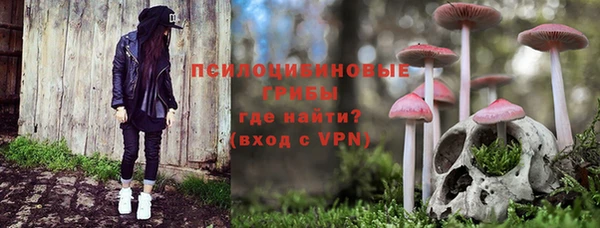 прущий лед Арсеньев
