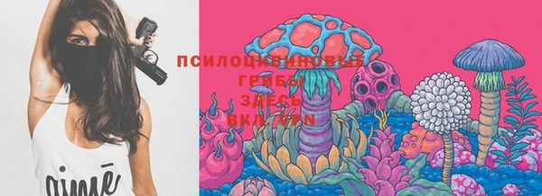 прущий лед Арсеньев