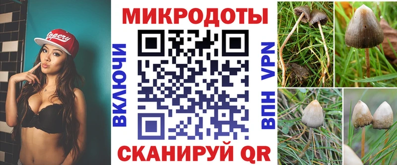 Галлюциногенные грибы MAGIC MUSHROOMS  Сясьстрой 